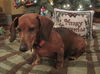 Mary Jane â¥-ADOPTED 04.13.14