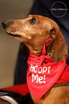 Mary Jane â¥-ADOPTED 04.13.14