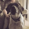 Birdie Ã¢ÂÂ¥-ADOPTED 02.16.14
