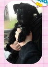 Noelle - ADOPTED 01.18.14