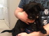 Noelle - ADOPTED 01.18.14