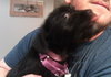 Noelle - ADOPTED 01.18.14