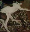 Braver-ADOPTED 02.07.14