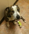 Trooper Two - ADOPTED 01.21.14