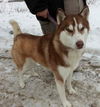 Yukon - ADOPTED 02.21.14
