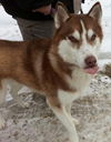 Yukon - ADOPTED 02.21.14