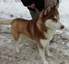 Yukon - ADOPTED 02.21.14