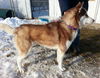 Yukon - ADOPTED 02.21.14