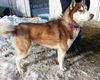Yukon - ADOPTED 02.21.14