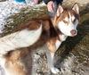 Yukon - ADOPTED 02.21.14