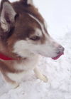 Yukon - ADOPTED 02.21.14