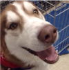 Yukon - ADOPTED 02.21.14