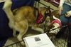 Yukon - ADOPTED 02.21.14