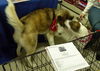 Yukon - ADOPTED 02.21.14