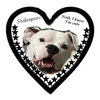 Shakespeare - ADOPTED 01.24.14
