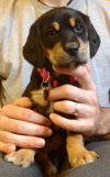 Wj Litter Lilith - ADOPTED 02.16.14