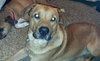Sundance - ADOPTED 02.15.14