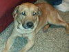 Sundance - ADOPTED 02.15.14