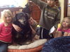 Apple Dumpling-ADOPTED 04.05.14
