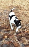April-ADOPTED (foster is adopting) 04.04.14