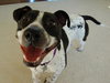 April-ADOPTED (foster is adopting) 04.04.14