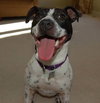 April-ADOPTED (foster is adopting) 04.04.14