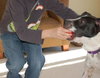 April-ADOPTED (foster is adopting) 04.04.14