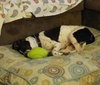 April-ADOPTED (foster is adopting) 04.04.14