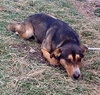 Kk-Gavin-Bonded Pair-ADOPTED 02.11.14