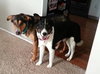 Kk-Gavin-Bonded Pair-ADOPTED 02.11.14