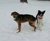 Kk-Gavin-Bonded Pair-ADOPTED 02.11.14