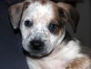 Zj Litter Spike - ADOPTED 02.23.14
