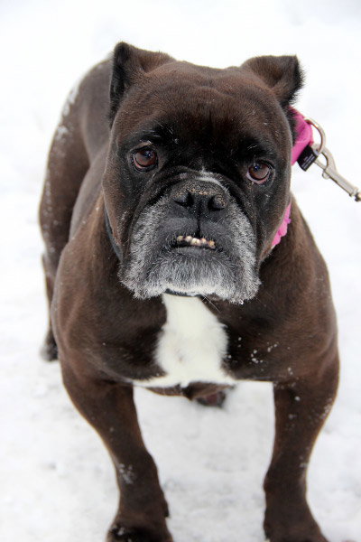 Mora - ADOPTED 03.01.14