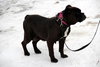 Mora - ADOPTED 03.01.14