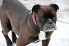 Mora - ADOPTED 03.01.14