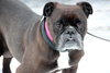 Mora - ADOPTED 03.01.14