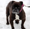 Mora - ADOPTED 03.01.14