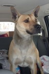Miles - ADOPTED 05.07.14
