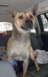 Miles - ADOPTED 05.07.14