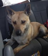 Miles - ADOPTED 05.07.14