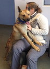 Miles - ADOPTED 05.07.14