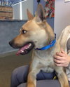 Miles - ADOPTED 05.07.14