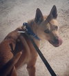 Miles - ADOPTED 05.07.14