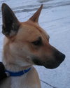 Miles - ADOPTED 05.07.14