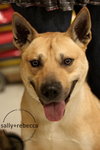 Miles - ADOPTED 05.07.14