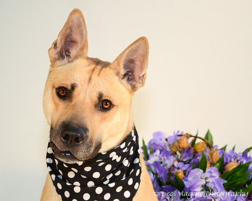 Miles - ADOPTED 05.07.14