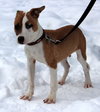 Minx - ADOPTED 04.19.14