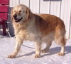 Hk-Mya (bonded pair) - ADOPTED 04.16.14