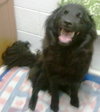Mk-Midnite - ADOPTED 03.14.14