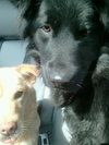 Mk-Midnite - ADOPTED 03.14.14